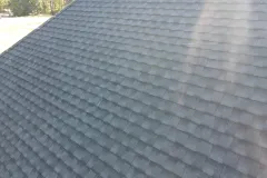 DJI_0601.JPG.webp